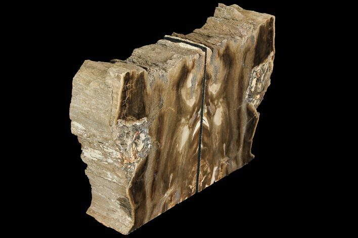 Petrified Wood Bookends - Oregon #111097